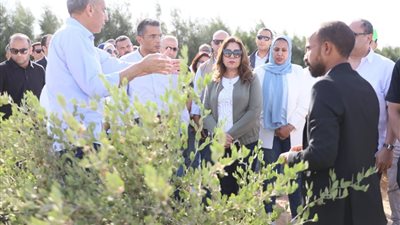 وزيرة التنمية المحلية ومحافظ البحر الأحمر يتفقدون مشروع زراعة نبات الجوجوبا بالغردقة