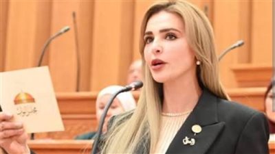 نائبة برلمانية تطالب بوقف مزاد بيع وحدات سكنية برأس غارب وتحذر من أزمة إسكان جديدة