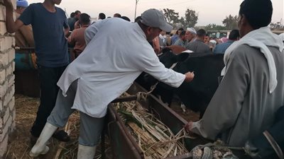 بـ 6.82 مليون جرعة.. 