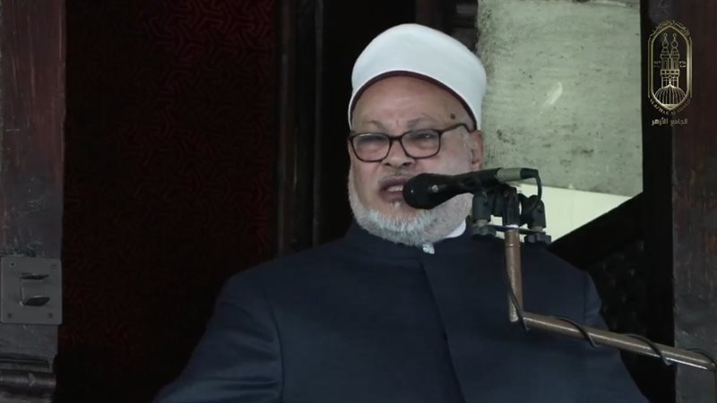 الدكتور إبراهيم الهدهد 