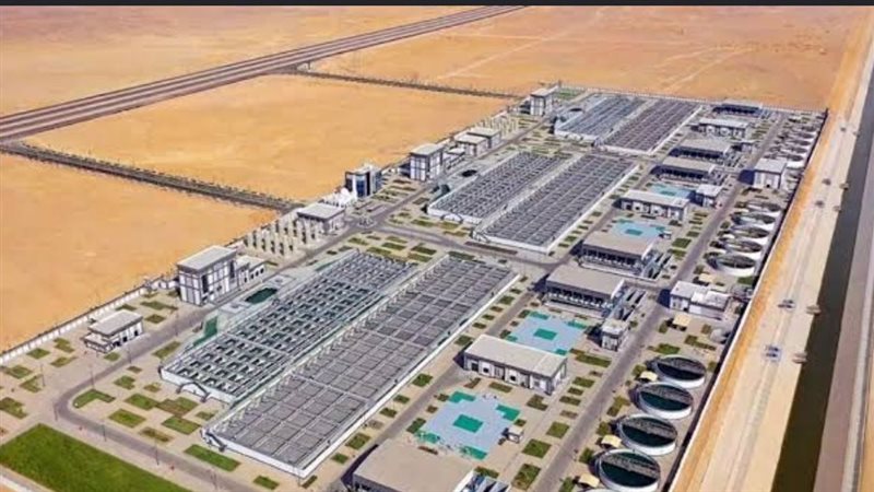 محافظ القاهرة