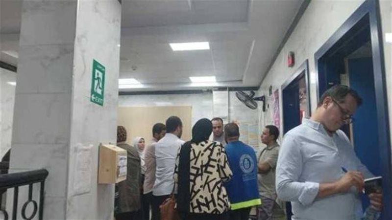 المنيا 