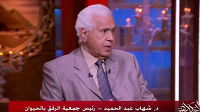 رئيس جمعية الرفق بالحيوان: انتشار الكلاب بالمناطق السكنية تجاوز التوازن البيئي