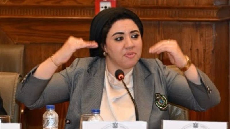 النائبة أميرة صابر