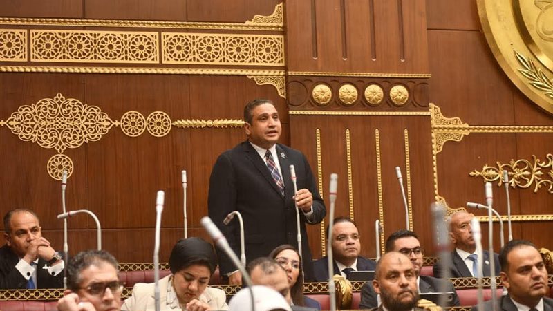 النائب عماد خليل، عضو مجلس الشيوخ 