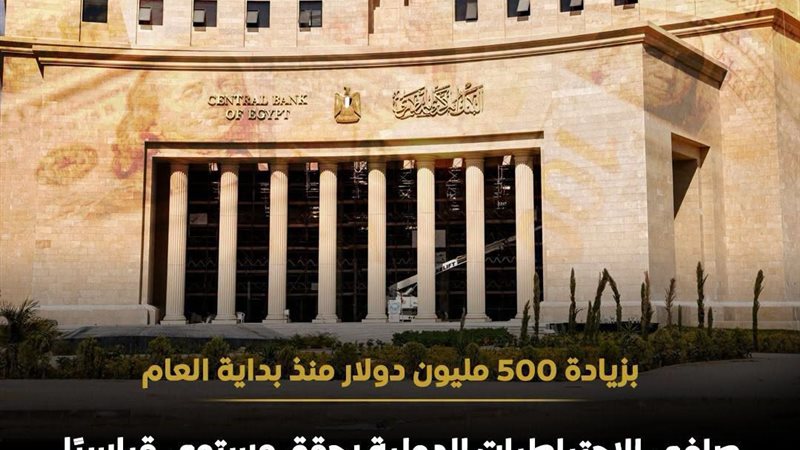 الدولارية 
