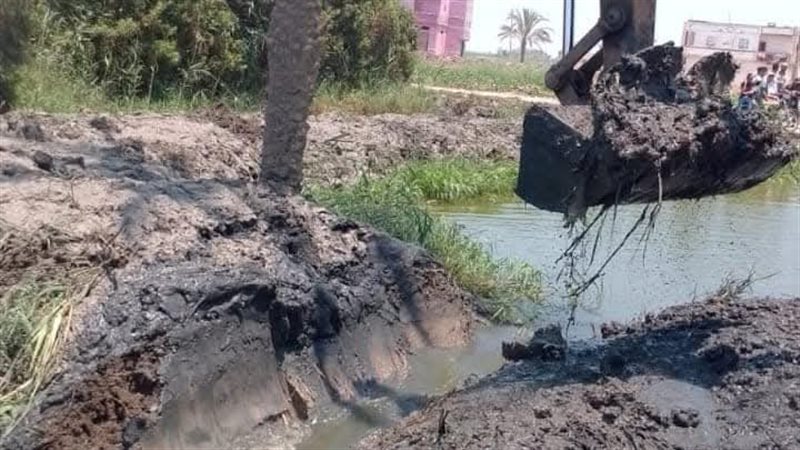 إزالة تعديات على مزارع سمكية ببورسعيد 