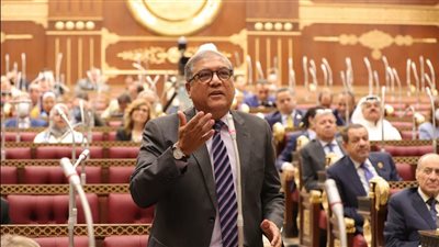 عفت السادات: مصر تواصل قيادة جهود التهدئة الفلسطينية وتعزيز الاستقرار الإقليمي