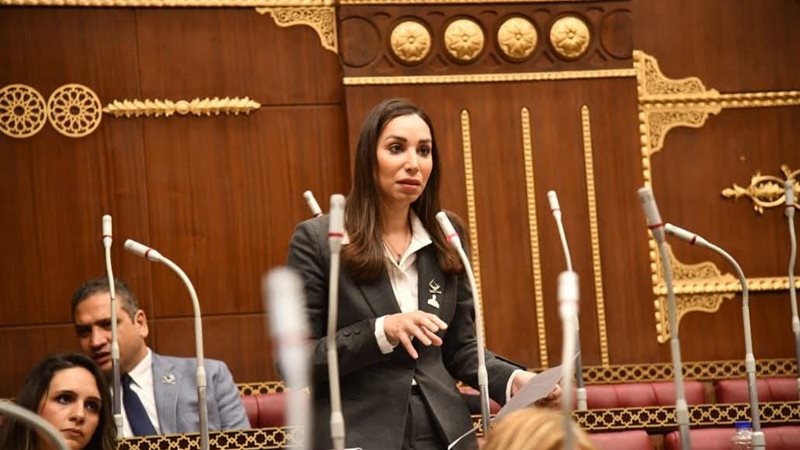 النائبة حنان وجدى