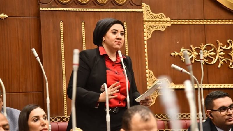 النائبة أميرة صابر
