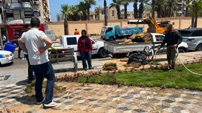 حملات مكبرة لإزالة الإشغالات وتطوير المنظومة البيئية ببورسعيد