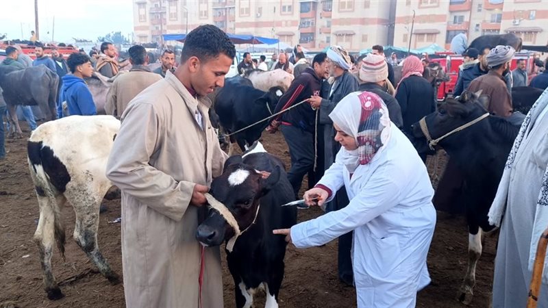 صورة أثناء الحملات 