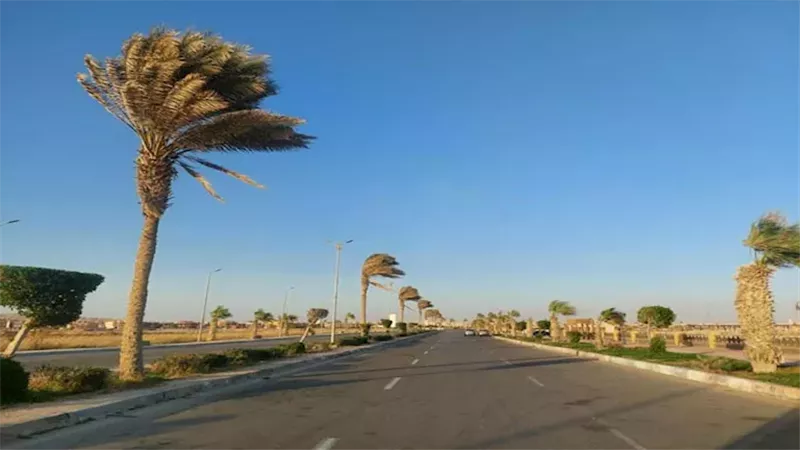 نشاط رياح 