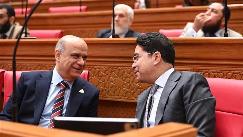 ضياء الدين داود 