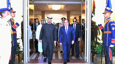 عضو بالشيوخ: زيارة بن زايد إلى مصر تؤكد متانة الشراكة الاستراتيجية بين القاهرة وأبوظبي
