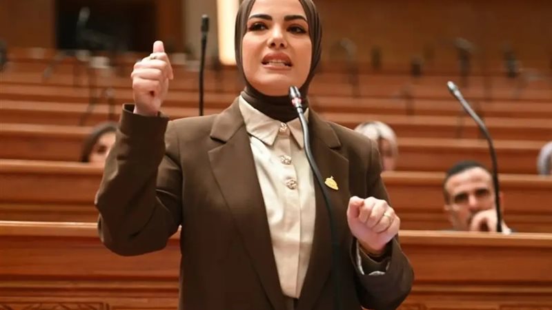 النائبة ايه عبد الرحمن 