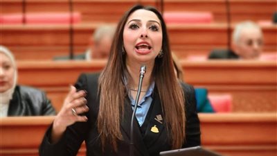 نشوى الشريف: تعترض على ضعف التمثيل الحكومي بمناقشة ملف حملة الماجستير والدكتوراه