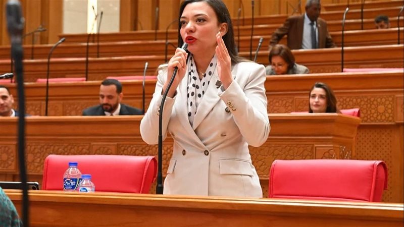 النائبة مى كرم جبر