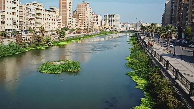 مدينة دمنهور