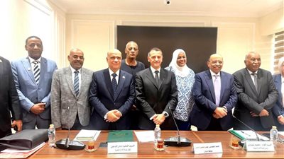 من داخل البرلمان.. محافظ أسوان: تنسيق تنفيذي وتشريعي لتلبية المطالب الجماهيرية