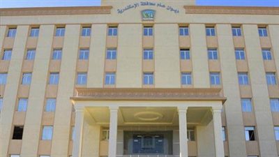 ضبط 84 شيكارة دقيق بلدي مدعم مصابة بالسوس والحشرات في الإسكندرية 