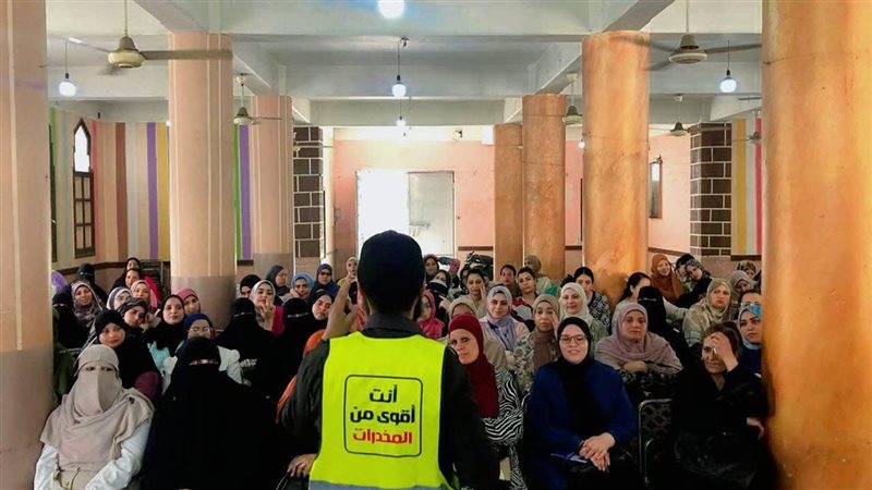 المنيا 