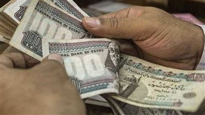 4504 فرصة عمل جديدة في 14 محافظة.. وزارة العمل تفتح باب التقديم