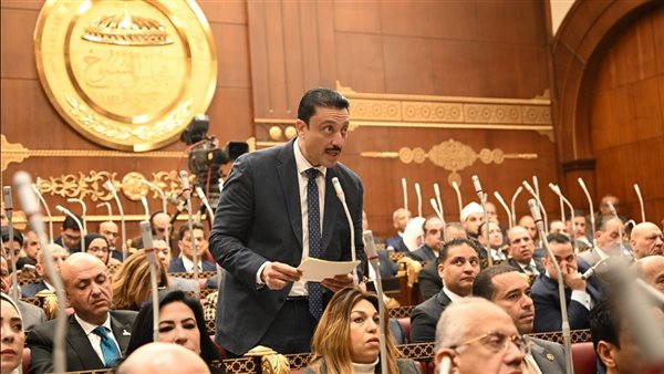 النائب محمد رزق عضو مجلس الشيوخ