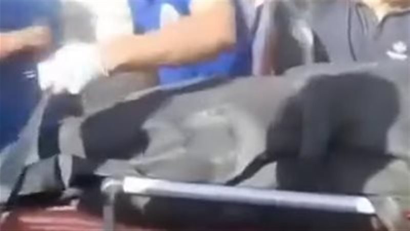 المجني عليها 