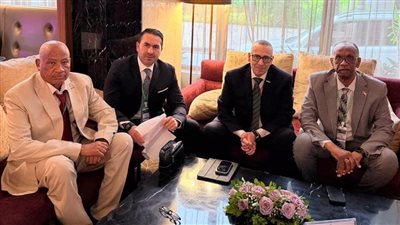 مصر تؤكد دعمها للتكامل الجوي الإفريقي خلال مؤتمر «النقل الجوي الإفريقي» في لومي