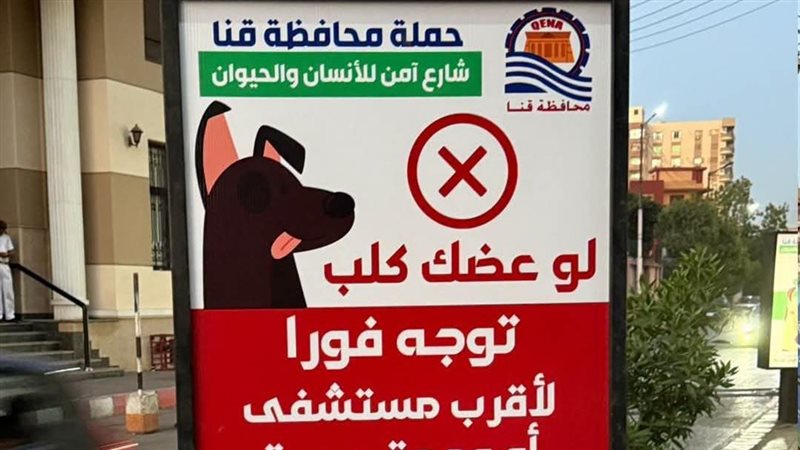  التعامل مع الكلاب الضالة