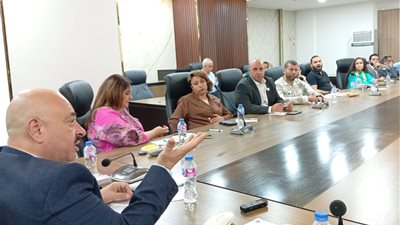 شعبة الكرتون: خطة لتطوير القطاع.. ومواجهة أزمة العمالة والتوسع في الطاقة الشمسية