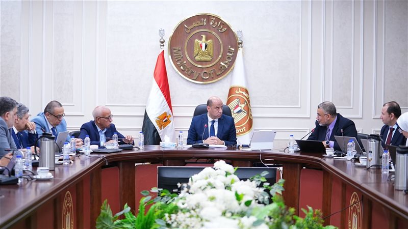 وزير العمل 