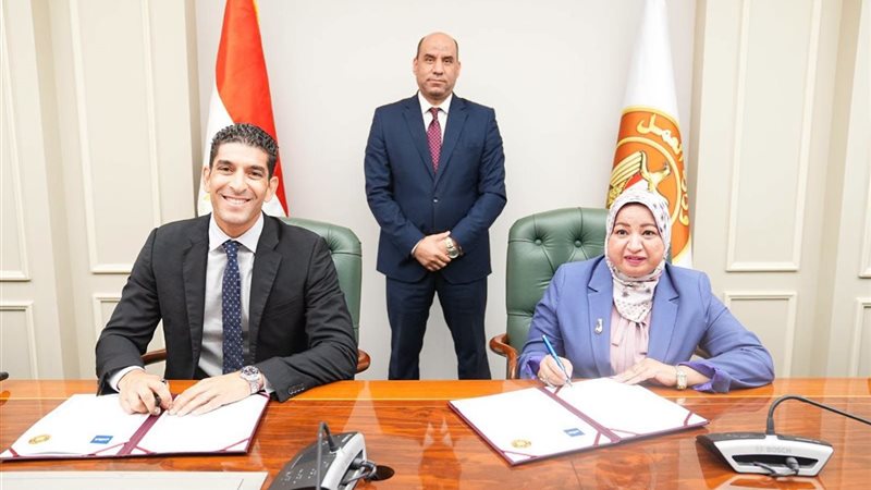 وزير العمل
