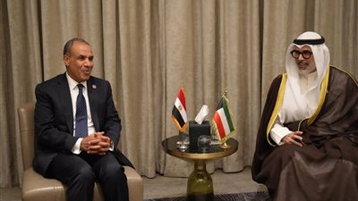 وزير الخارحية يبحث مع نظيره الكويتي تعزيز التعاون وتطورات القضية الفلسطينية