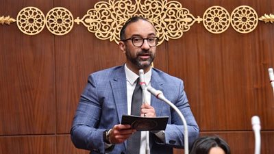 عضو بالشيوخ: تعديلات قانون الشركات خطوة داعمة للاستثمار.. وتبسيط الإجراءات التحدي الأهم