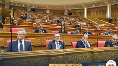 وزير شئون المجالس النيابية يشارك في الجلسة العامة لمجلس النواب لإقرار الموازنة