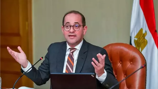 وزير المالية