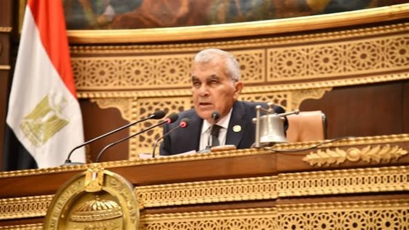 المستشار عصام فريد