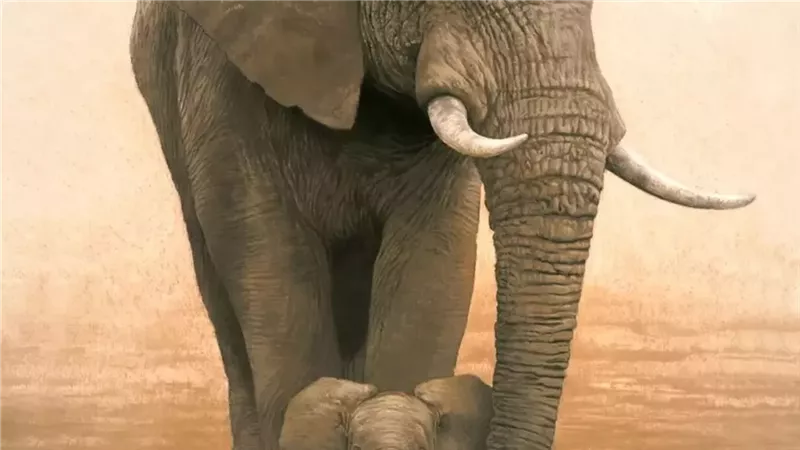 صورة تعبيرية 