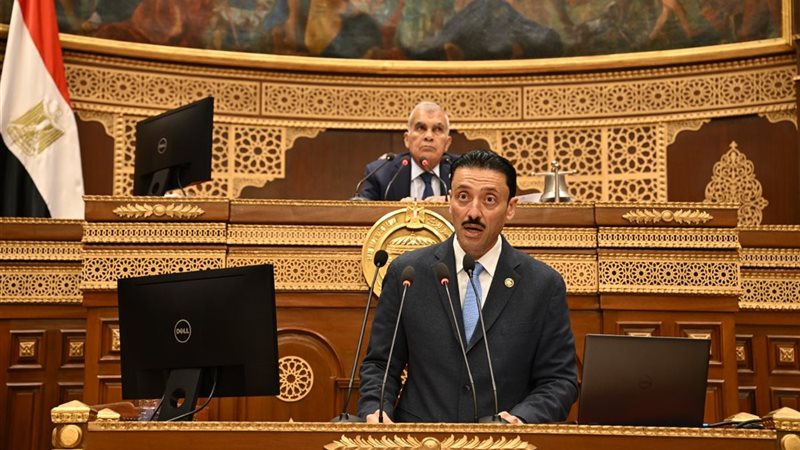 النائب محمد رزق في كلمته أمام مجلس الشيوخ