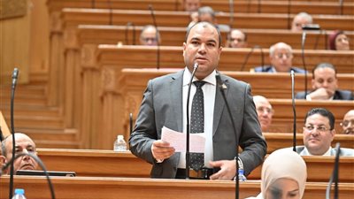 برلمانى: التشريعات الضريبية يجب أن توازن بين الإيرادات وحماية الاستثمار وسوق المال
