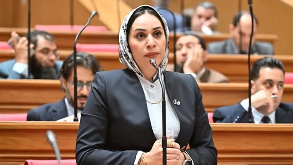النائبة فاطمة عادل عضو مجلس النواب 