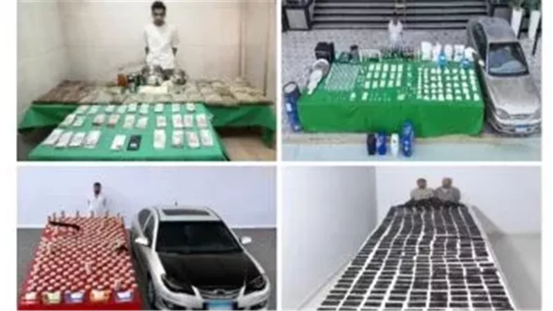 المضبوطات