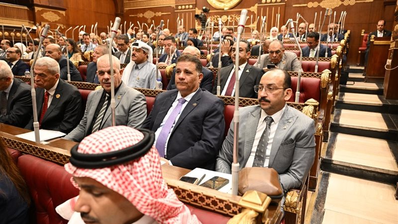 النائب عبد العاطي أحمد