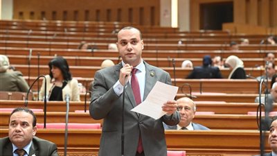  أنس هلول: زيادة المعاشات 15% خطوة مهمة لتخفيف الأعباء عن كبار السن