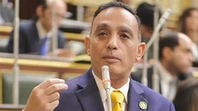 فريدي البياضي: زيادة المعاشات حق قانوني وتفعيل قانون المسنين ضرورة عاجلة