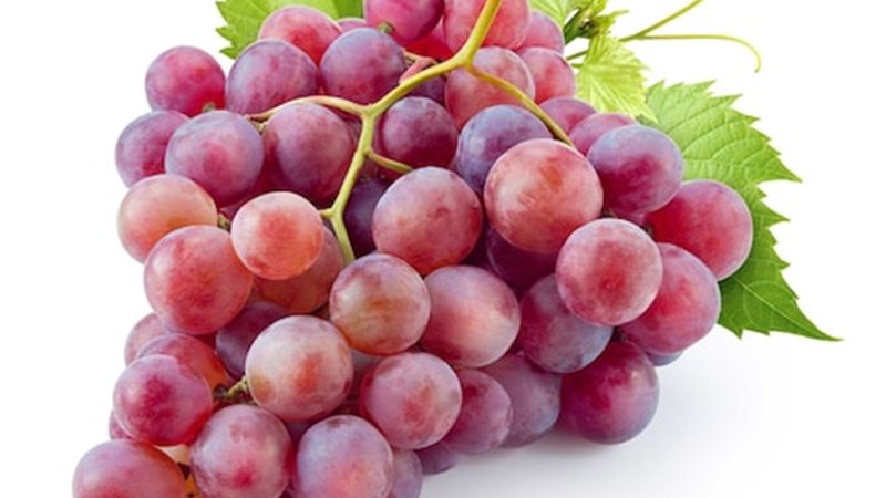 العنب 