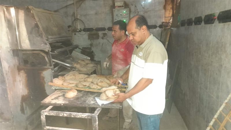 المنيا 