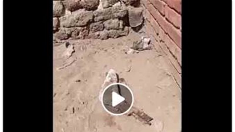 الواقعة 